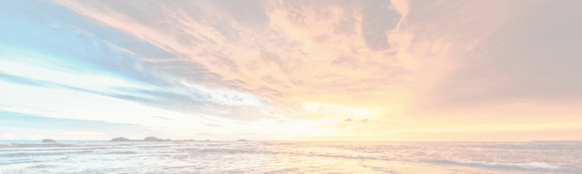 VQ-Models DE VQ-Models DE